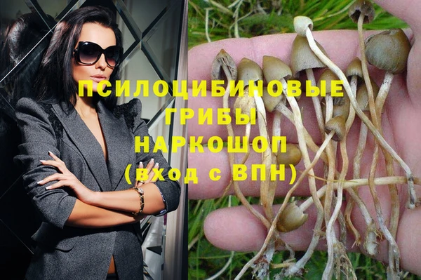 бошки Абаза