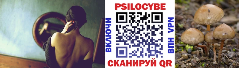 Псилоцибиновые грибы прущие грибы  Трубчевск 